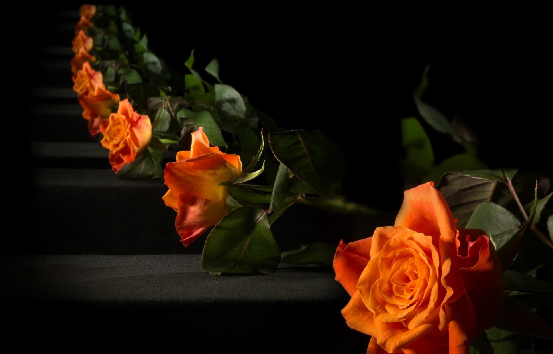 Floral background